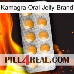 Kamagra-Oral-Jelly-Brand levitra1